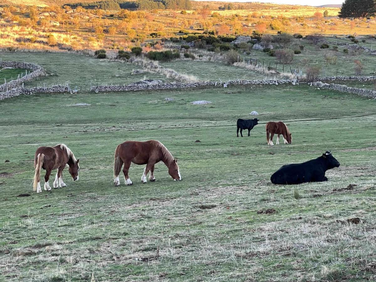 La Nava De Gredos Acogedor Piso Con Vistas Daire Navarredonda de Gredos Dış mekan fotoğraf